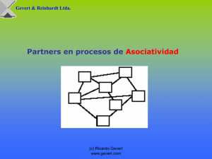 Partners en procesos de Asociatividad (ppt)