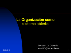 La Organizacion como sistema abierto (ppt)