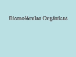 2.- Biomoleculas orgánicas 2014