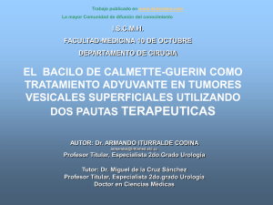 El Bacilo de Calmette-Guerin como tratamiento adyuvante en tumores vesicales superficiales utilizando dos pautas terapeuticas(ppt)