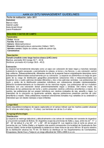 Melanophryniscus rubriventris - Protocolo de Manejo Ex Situ (Espanol)