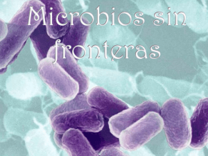 Microbios sin Fronteras