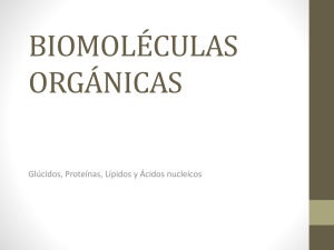 biomolculas orgnicas