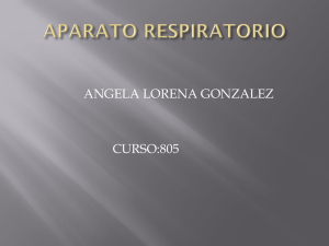 APARATO RESPIRATORIO LORENA GONZALEZ