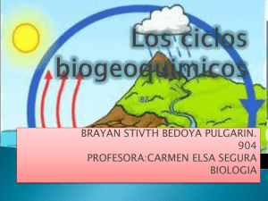 BRAYAN STIVTH BEDOYA PULGARIN. 904 PROFESORA:CARMEN ELSA SEGURA BIOLOGIA