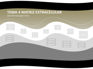 TEMA 4.matriz extracelular