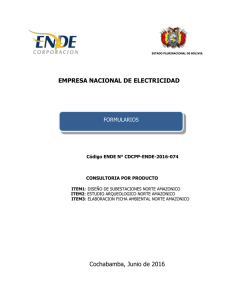 EMPRESA NACIONAL DE ELECTRICIDAD  Cochabamba, Junio de 2016 FORMULARIOS