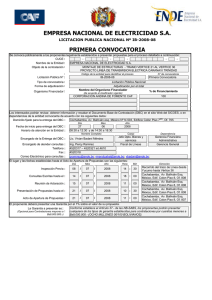 EMPRESA NACIONAL DE ELECTRICIDAD S.A. PRIMERA CONVOCATORIA LICITACION PUBLICA NACIONAL Nº IB-2008-08