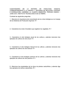 CUESTIONARIO DE LA MATERIA DE FISIOLOGIA VEGETAL SEMESTRE ENE-JUN 2013 UNIDAD 2