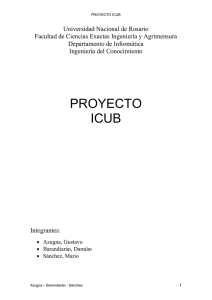 icub.doc