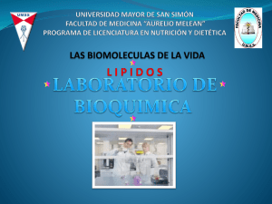Pruebas de laboratorio para identificar lipidos (1)