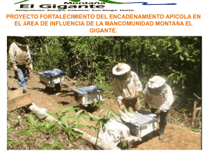 Fortalecimiento del encadenamiento apícola en el área de influencia de la mancomunidad Montaña El Gigante.