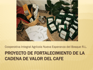 Fortalecimiento De La Cadena De Valor Del Cafe, Cooperativa Integral Agrícola Nueva Esperanza del Bosque R.L.