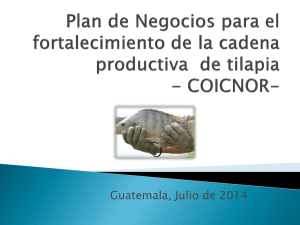Plan de Negocios para el fortalecimiento de la cadena productiva  de tilapia, COICNOR R.L