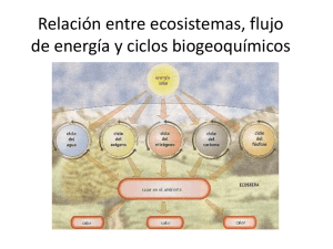 RelaciÃ³n entre ecosistemas, flujo de energÃ­a y