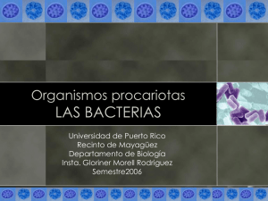 las bacterias.ppt