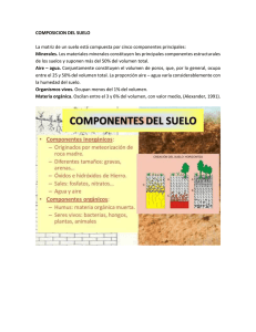 COMPOSICION DEL SUELO.docx