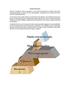 Estructura del suelo.docx