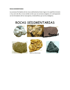 Rocas Sedimentarias.docx