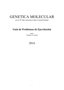 Guia Problemas 2016.doc