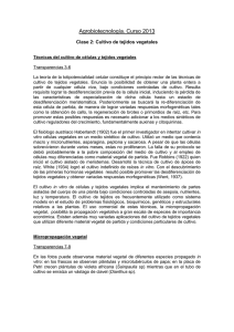 Clase 2 Cultivo de tejidos vegetales 2013.doc