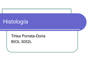 Histología Tirtsa Porrata-Doria BIOL 3052L