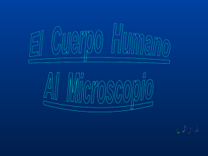 El_Cuerpo_Humano_Bajo_El_Microscopio