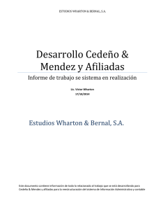 Informe para Cedeño & Mendez completo.docx