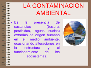 la contaminacion ambiental 091023082715 phpapp01
