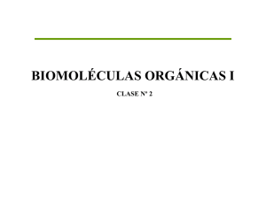 BIOMOLÉCULAS ORGÁNICAS I CLASE Nº 2