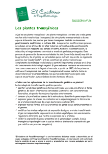 Las plantas transgénicas EDICIÓN Nº 26