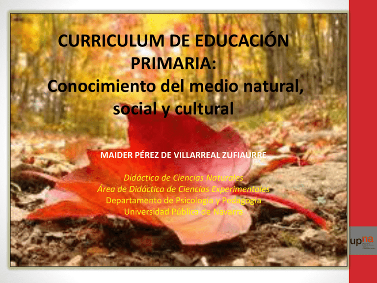 3.1. CURRICULUM EDUCACION PRIMARIA.pptx 3.1. CURRICULUM EDUCACION PRIMARIA.pptx