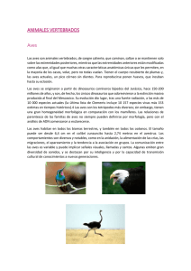 ANIMALES VERTEBRADOS. aves.docx