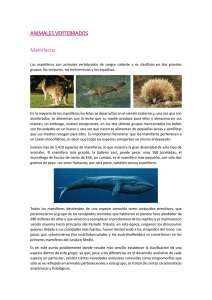 ANIMALES VERTEBRADOS. mamiferos.docx