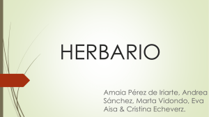 HERBARIO.pptx