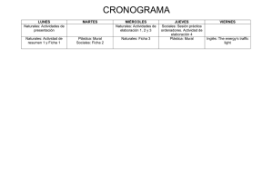 CRONOGRAMA.docx