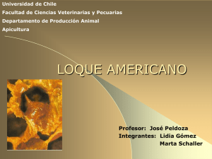 Universidad de Chile Facultad de Ciencias Veterinarias y Pecuarias Apicultura