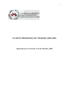 Cuarto Programa de Trabajo (2003-2005)