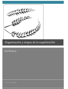 organizacion y etapas de la organizacion
