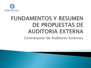 Fundamentos y Resumen de Propuestas de Auditoria Externa