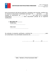 Certificado rectificatorio Mercosur