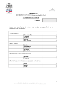 Caracteristicas Oficiales Duraznero y Nectarinos
