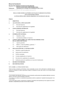 Modelo de informe sobre determinadas Ã¡reas (Nivel de control sobre Ã¡reas significativas)