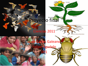 Proyecto_final.pptx