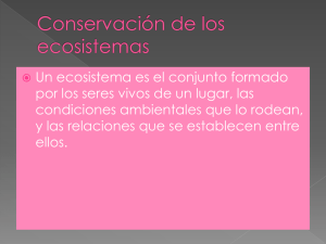 diapositivas de los ecosistemas