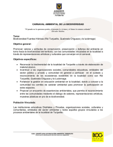 CARNAVAL AMBIENTAL DE LA BIODIVERSIDAD Tunjuelito[1]