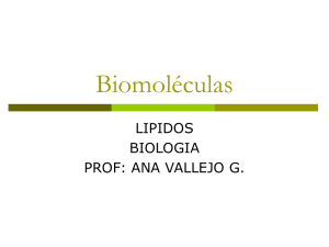 biomoleculas lipidos 