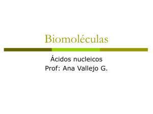 biomoleculas acidos nucleicos ulare 2006