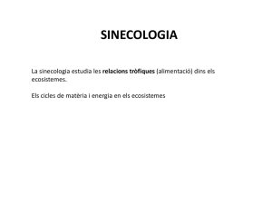 Sinecologia 2.pptx