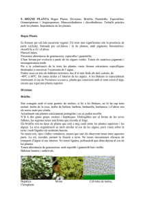 9. Biodiversitat, 6. Planta.doc